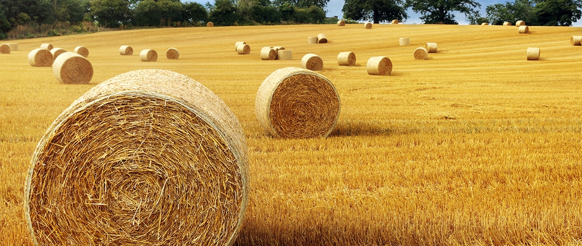 Security Bank of the Ozarks Eminence, Missouri